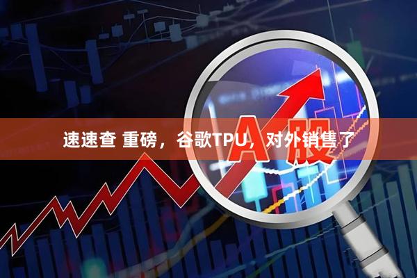 速速查 重磅，谷歌TPU，对外销售了